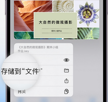 漳州apple维修中心分享iPhone文件应用中存储和找到下载文件