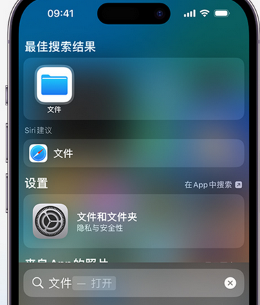 漳州apple维修中心分享iPhone文件应用中存储和找到下载文件