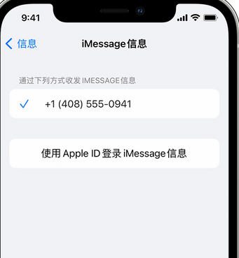 漳州apple维修iPhone上无法正常发送iMessage信息 