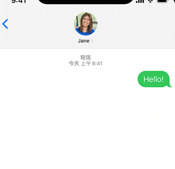 漳州apple维修iPhone上无法正常发送iMessage信息