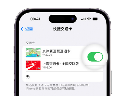 漳州apple维修点分享iPhone上更换Apple Pay快捷交通卡手绘卡面 