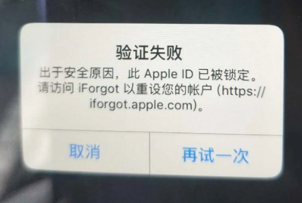 漳州iPhone维修分享iPhone上正常登录或使用AppleID怎么办 