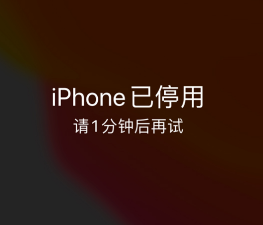 漳州苹果手机维修分享:iPhone 显示“不可用”或“已停用”怎么办？还能保留数据吗？ 