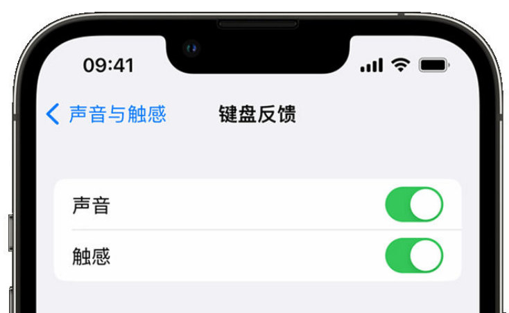 漳州苹果手机维修分享iPhone 14触感键盘使用方法 