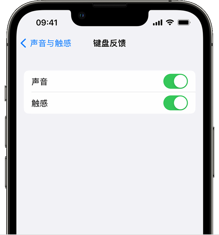 漳州苹果14维修店分享如何在 iPhone 14 机型中使用触感键盘 