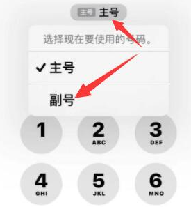 漳州苹果14维修店分享iPhone 14 Pro Max使用副卡打电话的方法 