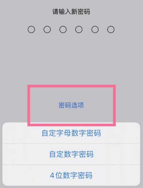 漳州苹果14维修分享iPhone 14plus设置密码的方法 