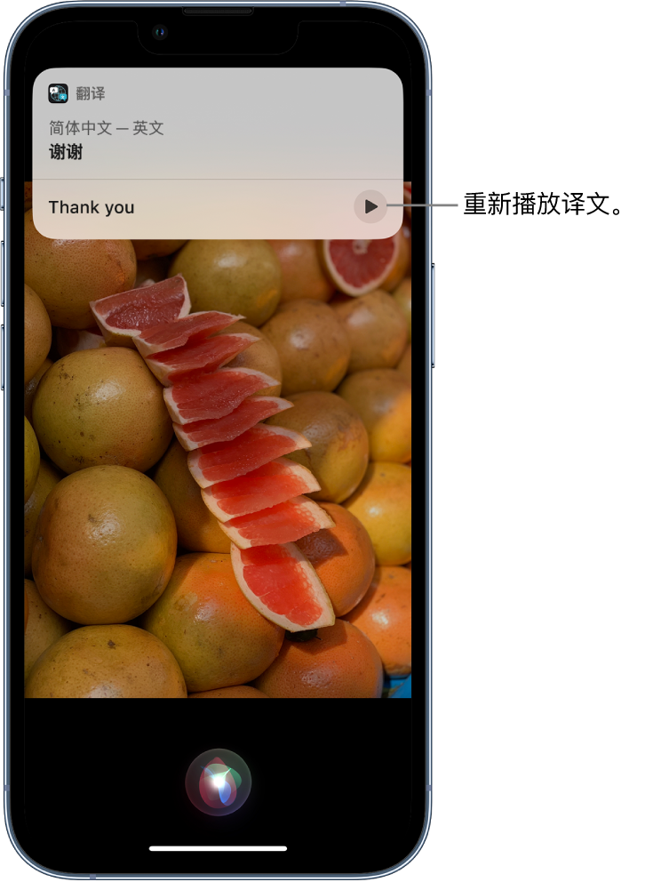 漳州苹果14维修分享 iPhone 14 机型中使用 Siri：了解 Siri 能帮你做什么 