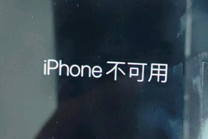 漳州苹果服务网点分享锁屏界面显示“iPhone 不可用”如何解决 