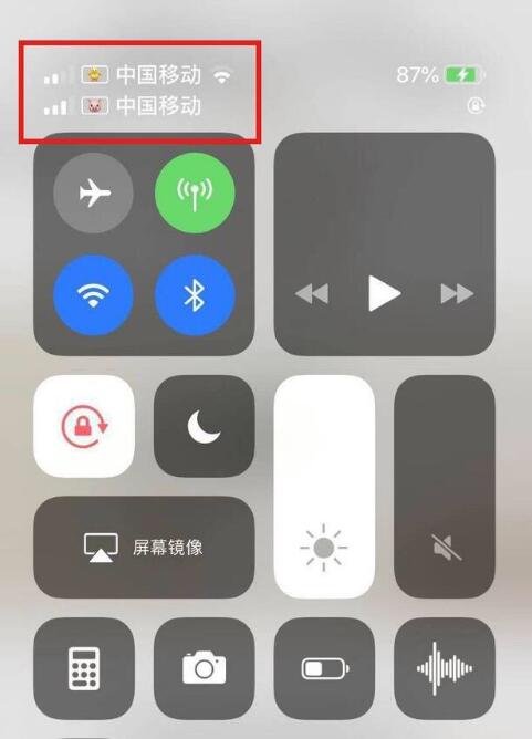 漳州苹果手机维修分享为 iPhone 12 双卡设置标签 